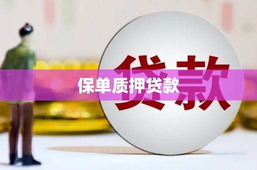 芦竹保单质押贷款