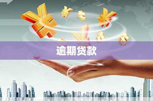 芦竹逾期贷款