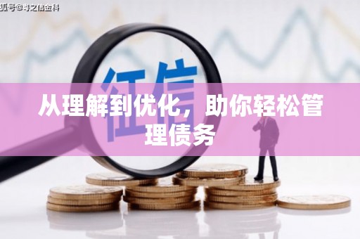 芦竹从理解到优化，助你轻松管理债务
