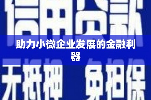 芦竹助力小微企业发展的金融利器
