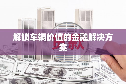 芦竹解锁车辆价值的金融解决方案