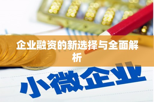 芦竹企业融资的新选择与全面解析