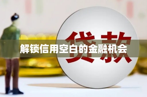 芦竹解锁信用空白的金融机会