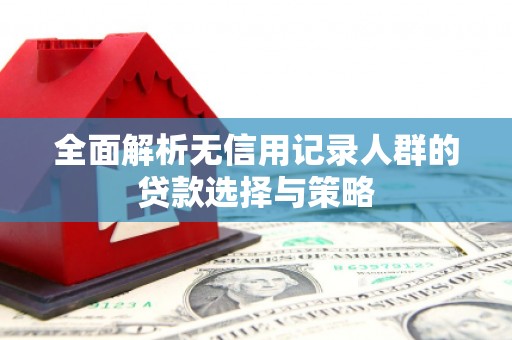 芦竹全面解析无信用记录人群的贷款选择与策略