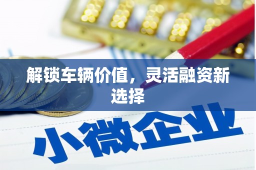 芦竹解锁车辆价值，灵活融资新选择