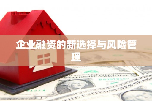 芦竹企业融资的新选择与风险管理