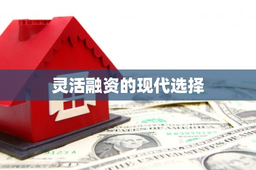 芦竹灵活融资的现代选择