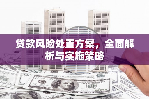 芦竹贷款风险处置方案，全面解析与实施策略
