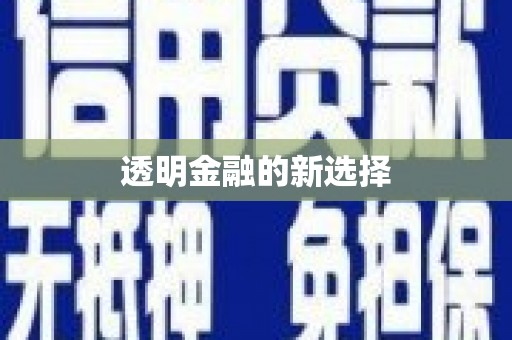 芦竹透明金融的新选择