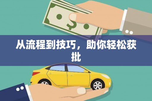 芦竹从流程到技巧，助你轻松获批