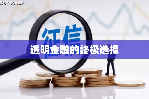 芦竹透明金融的终极选择