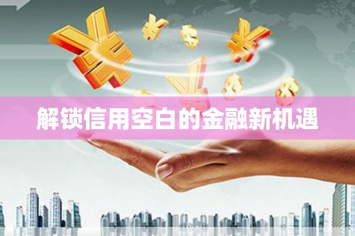 芦竹解锁信用空白的金融新机遇