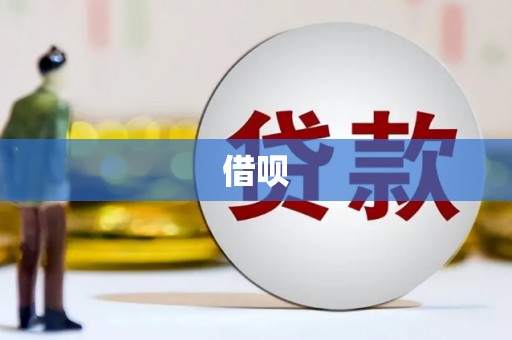 芦竹借呗