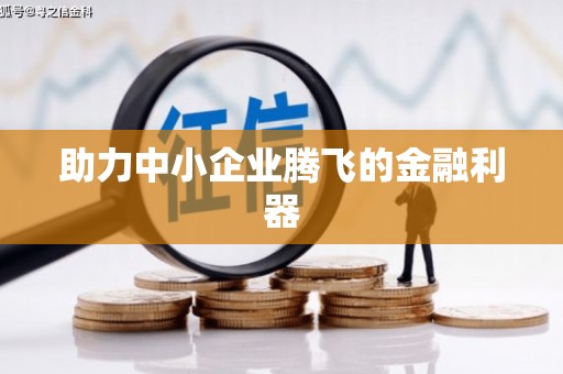 芦竹助力中小企业腾飞的金融利器