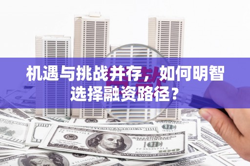芦竹机遇与挑战并存，如何明智选择融资路径？