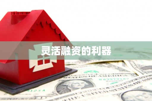 芦竹灵活融资的利器