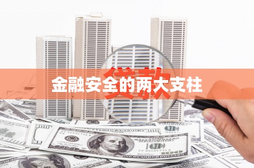 芦竹金融安全的两大支柱