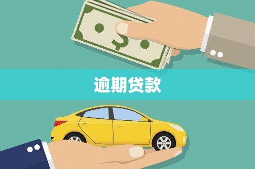 芦竹逾期贷款