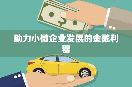 芦竹助力小微企业发展的金融利器