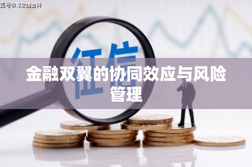 芦竹金融双翼的协同效应与风险管理
