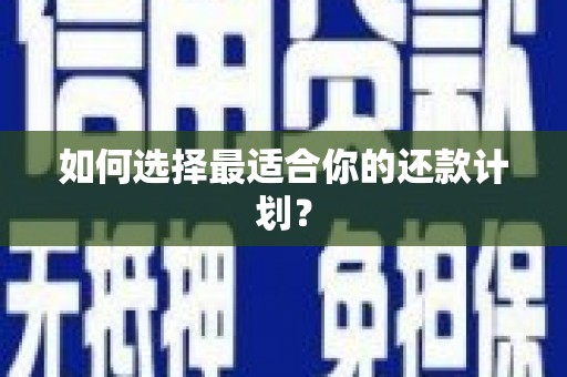 芦竹如何选择最适合你的还款计划？