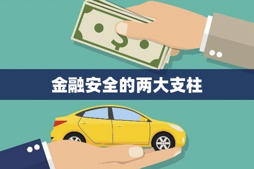 芦竹金融安全的两大支柱