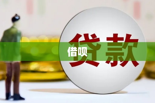 芦竹借呗