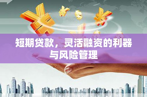 芦竹短期贷款，灵活融资的利器与风险管理