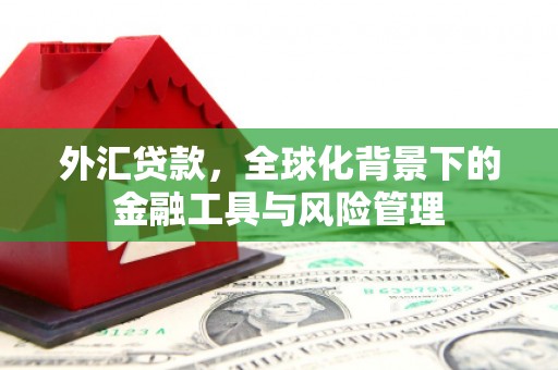 芦竹外汇贷款，全球化背景下的金融工具与风险管理