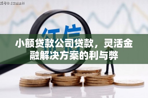 芦竹小额贷款公司贷款，灵活金融解决方案的利与弊